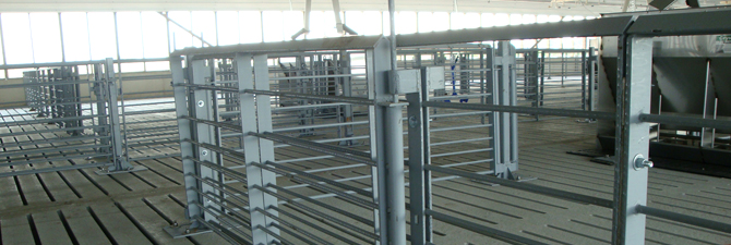 Swine fencing and swine gating from Schick Enterprises. American made!